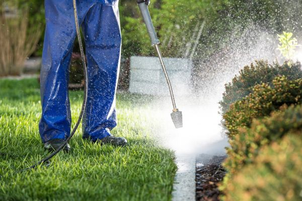 Curb Cleaning in Davenport