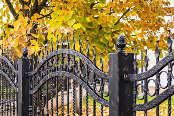 Wrought Iron Fence Washing in Davenport
