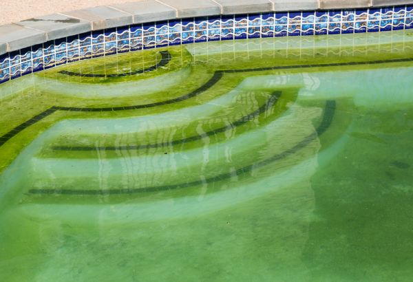 Pool Deck Algae Removal in Davenport